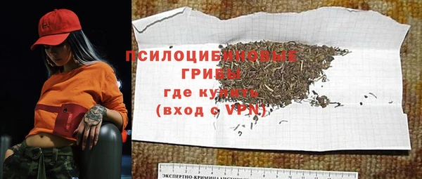 2c-b Белокуриха