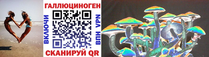 Купить где  Горячий Ключ  Псилоцибиновые грибы прущие грибы 